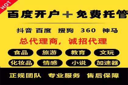某行业sem竞价托管成功案例：精准投放的秘诀